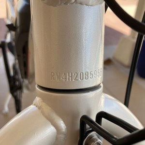 2021 Rad Power Bikes RadWagon 4 cargo bike (rear storage) White