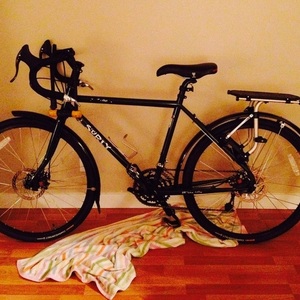 2012 Surly Disc Trucker Green