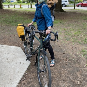 2012 Surly Disc Trucker Green