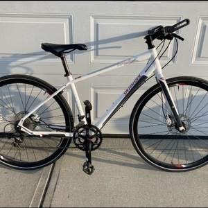 Specialized Sirrus Comp Disc Silver, gray or bare metal