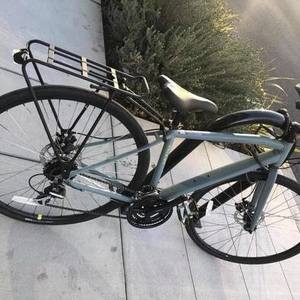 Raleigh Sport Fitness Geometry Silver, gray or bare metal