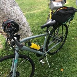Raleigh Sport Fitness Geometry Silver, gray or bare metal