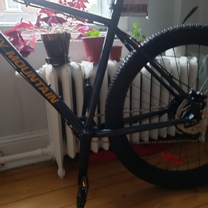 2019 Rocky Mountain Bicycles Growler Blue