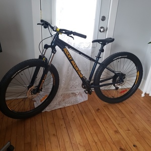 2019 Rocky Mountain Bicycles Growler Blue
