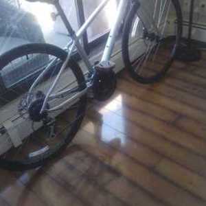 2020 Trek FX 2 WSD Disc Silver, gray or bare metal