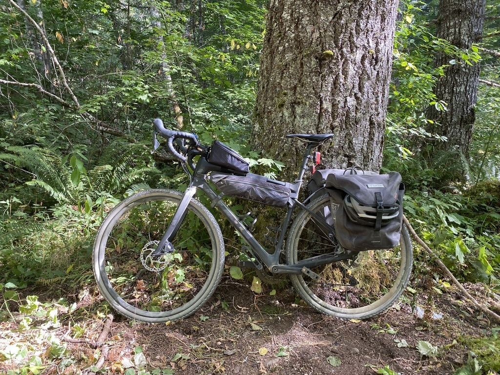 giant revolt advanced 0 2019