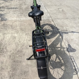 2020 Rad Power Bikes RadRover 5 Green