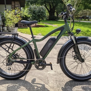 2020 Rad Power Bikes RadRover 5 Green