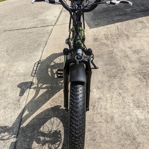 2020 Rad Power Bikes RadRover 5 Green