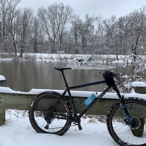 2019 All City Electric Queen Black and Blue