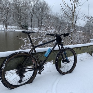 2019 All City Electric Queen Black and Blue