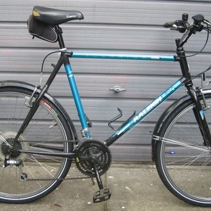 Raleigh Technium Blue