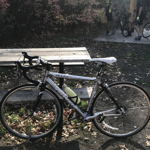 2006 Specialized Allez Elite Triple Silver, gray or bare metal