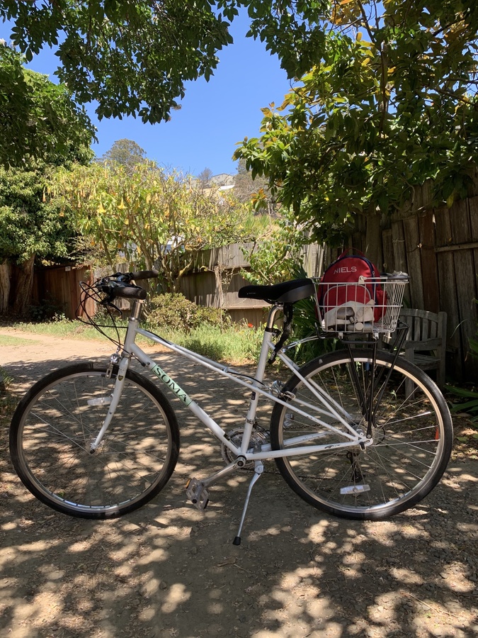 2017-soma-buena-vista