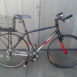 Giant Black, Red, and Silver, gray or bare metal