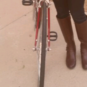 Schwinn Schwinn traveler Red