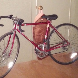 Schwinn Schwinn traveler Red
