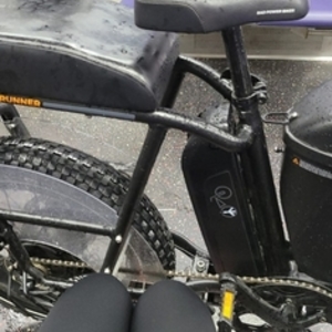 2020 Rad Power Bikes Rad runner electric utility bike Black