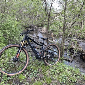 2020 Ibis Ripley Black