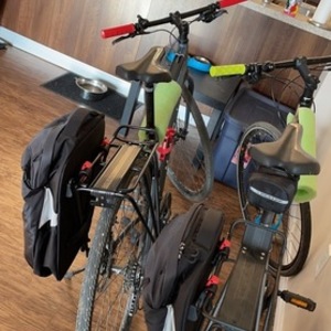 2021 Marin Bikes Fairfax 2 Silver, gray or bare metal and Orange
