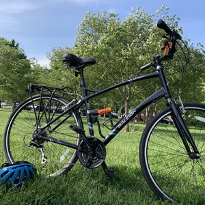 2015 Raleigh Detour 4.5 Blue