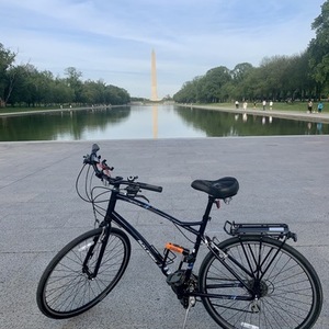 2015 Raleigh Detour 4.5 Blue