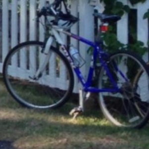 Trek Blue and White