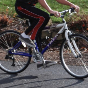 Trek Blue and White