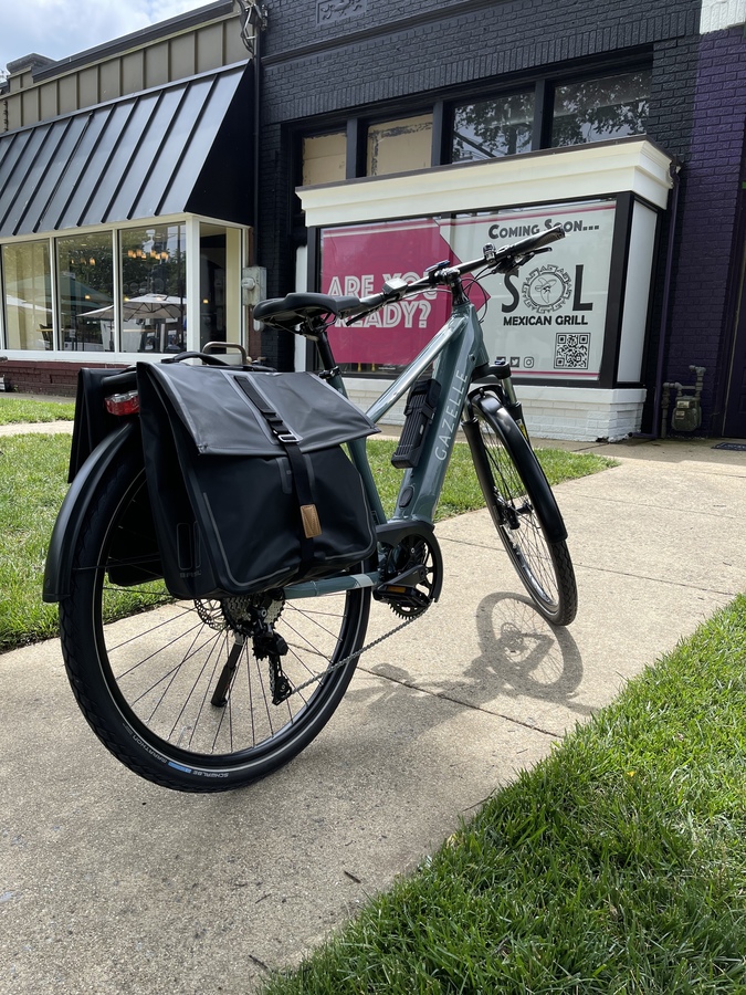 petrol night gazelle