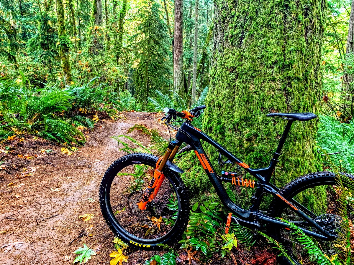 Bike photo