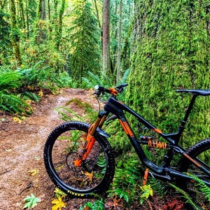 2019 Guerrilla Gravity Smash Black and Orange