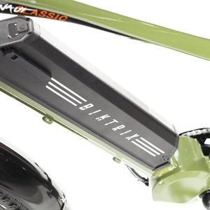 2021 Biktrix Juggernaut Classic Green