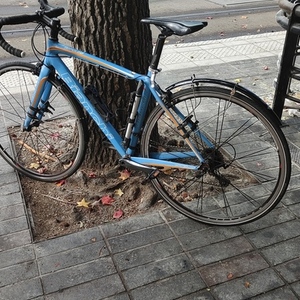 2021 Bianchi Aluminum Blue