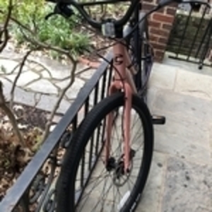 2019 Cannondale Treadwell 2 Remixte Pink