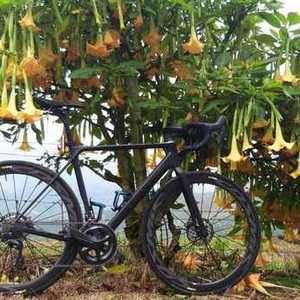2018 Canyon bicycles CANYON ULT CF SL Black