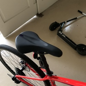 Specialized Red