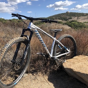 2020 Niner Air 9 Silver, gray or bare metal