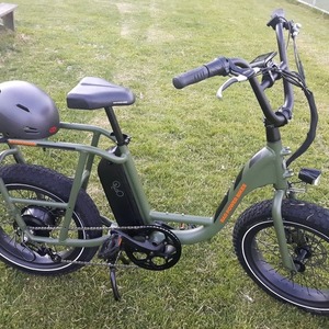2020 Rad Power Bikes RadRunner Green