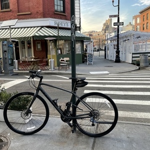2021 Trek Black and Silver, gray or bare metal