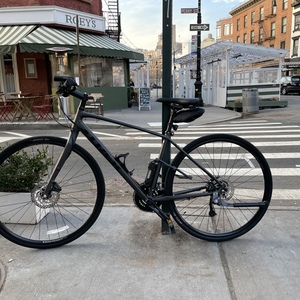 2021 Trek Black and Silver, gray or bare metal