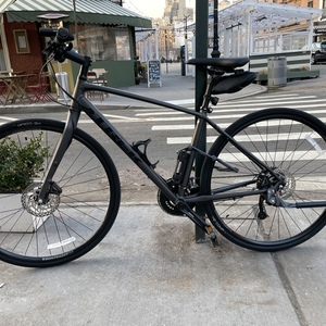 2021 Trek Black and Silver, gray or bare metal