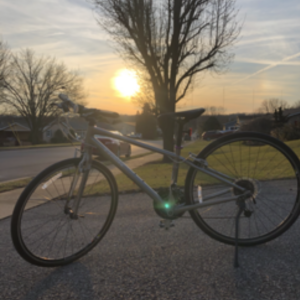 Trek 7.4 FX Silver, gray or bare metal