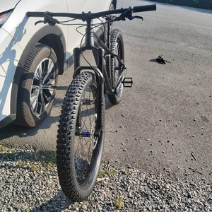 2020 Trek STACHE 7 Black