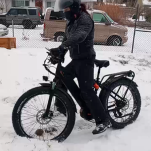 2020 Other BPM ebikes 'F1000' Black and Orange