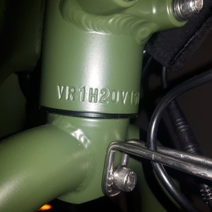 2020 Rad Power Bikes RadRunner Green