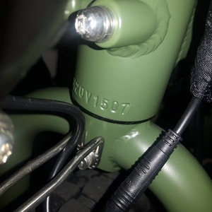 2020 Rad Power Bikes RadRunner Green