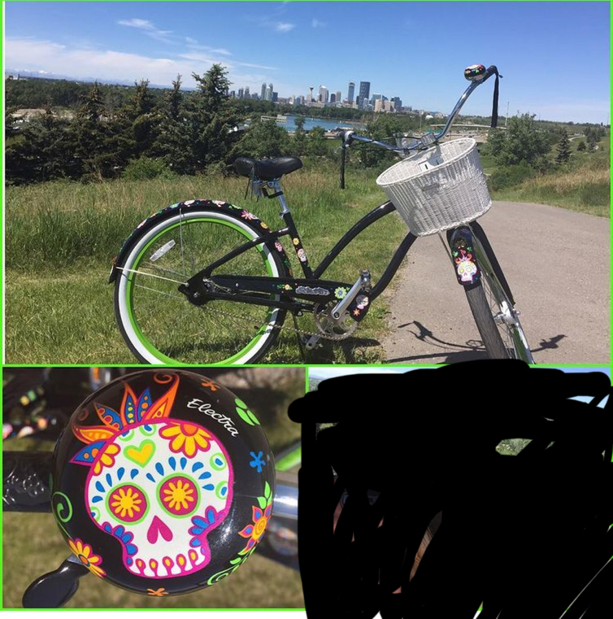 electra sugar skull bike for sale
