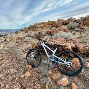 2021 YT Capra Silver, gray or bare metal