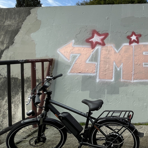 2020 Rad Power Bikes High Step Black