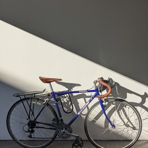 1993 Bianchi Europa Purple